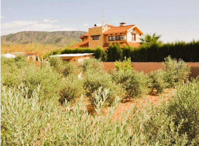 Property thumbnail 8