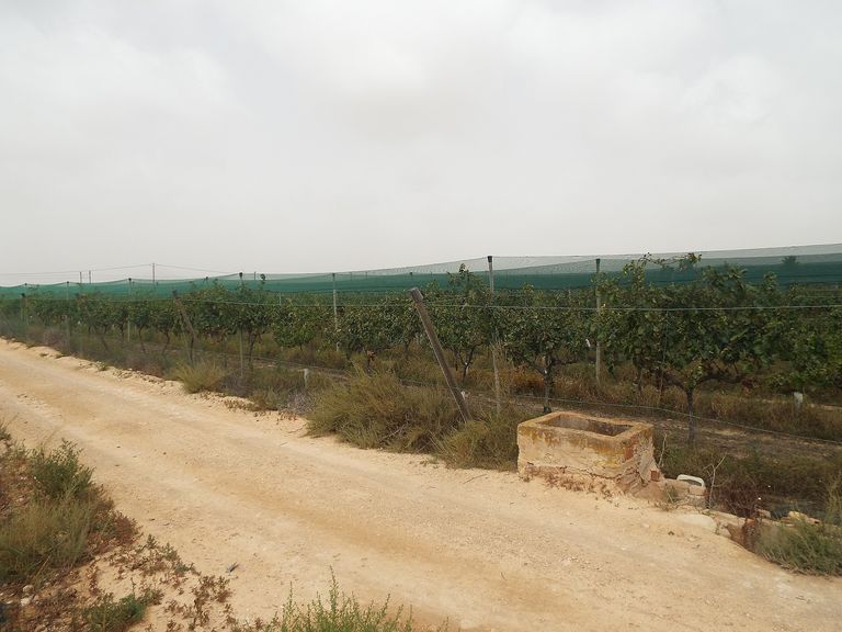 Property thumbnail 9