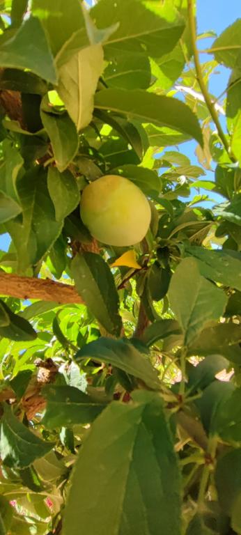 Property thumbnail 15