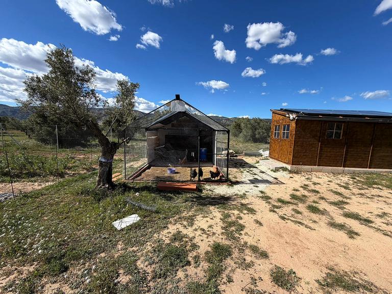 Property thumbnail 3