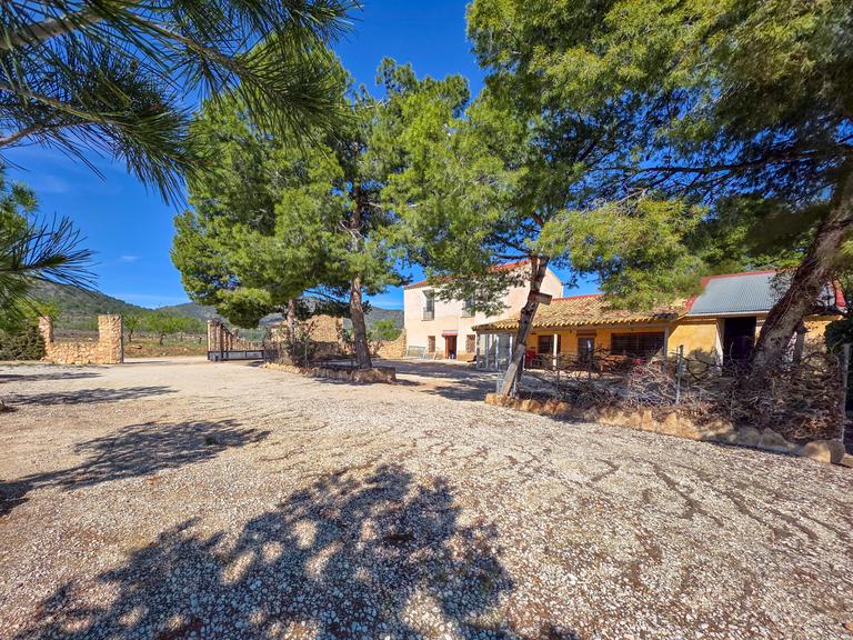 Property thumbnail 3