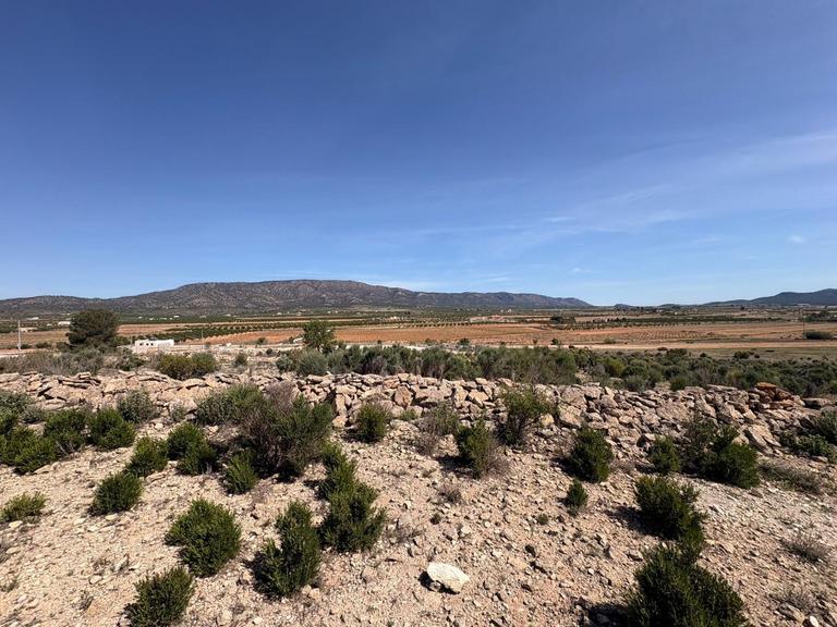 Property thumbnail 5