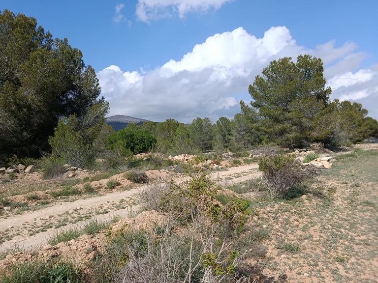Property thumbnail 1