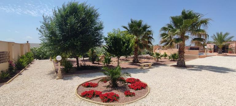 Property thumbnail 43