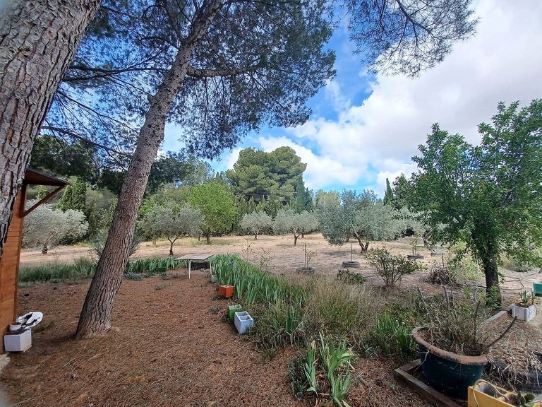Property thumbnail 21