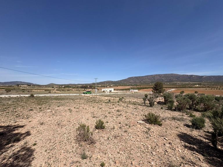 0 bedroom Land in Pinoso, Costa Blanca - Property IV8896