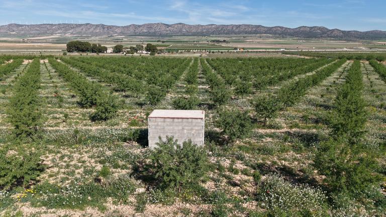 Property thumbnail 5