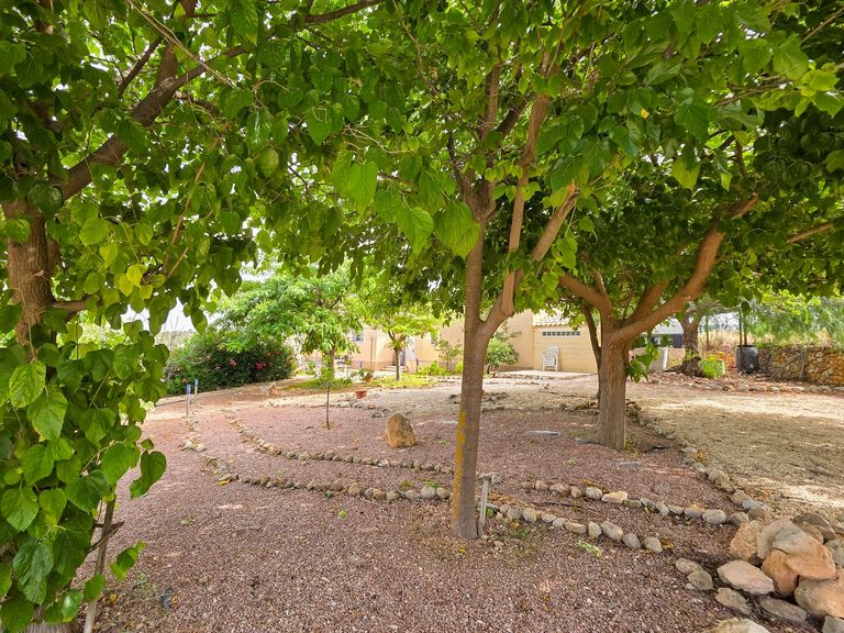 Property thumbnail 14