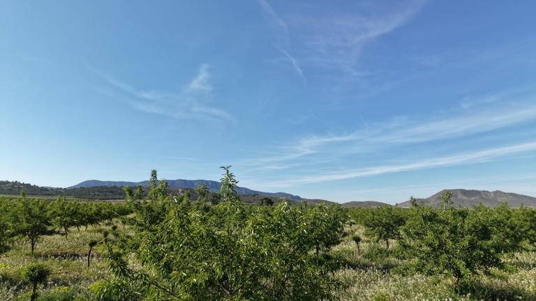 Property thumbnail 12