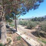 Property thumbnail 49