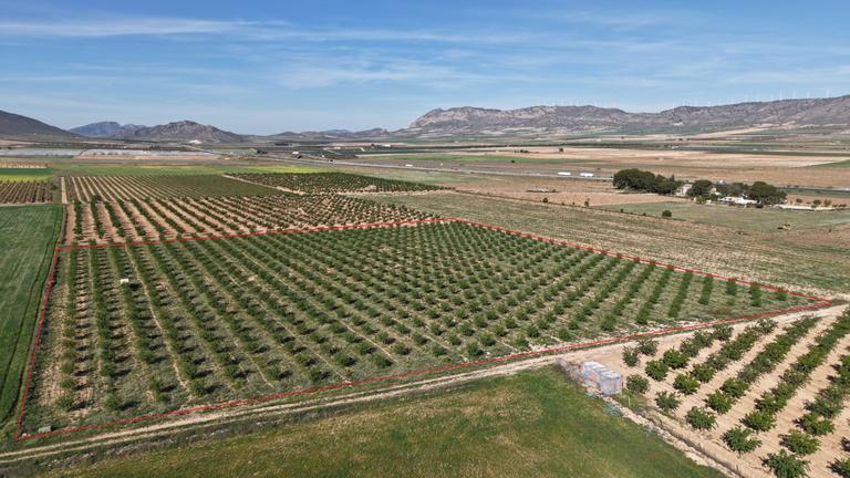 Property thumbnail 14