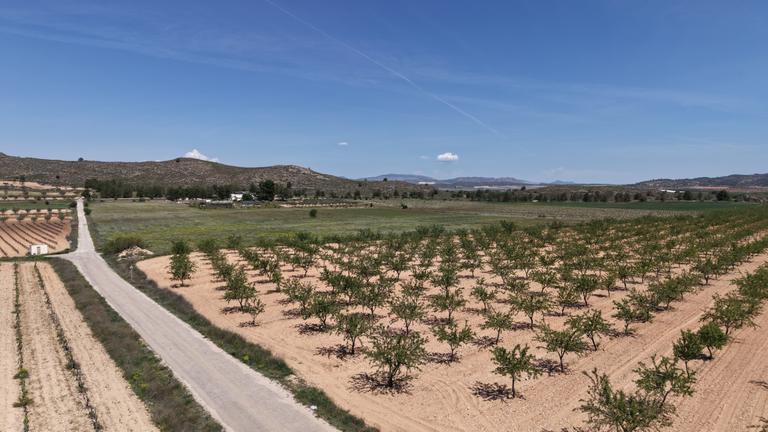 Property thumbnail 11