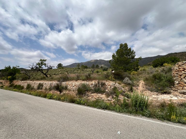 Property thumbnail 8