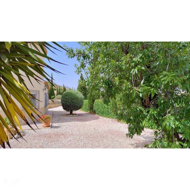Property thumbnail 42