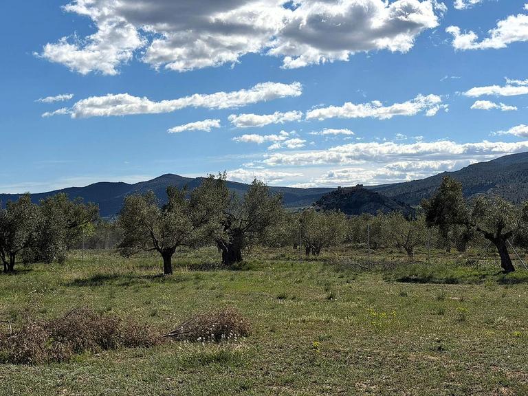 0 bedroom Land in Onil, Costa Blanca - Property IV14377