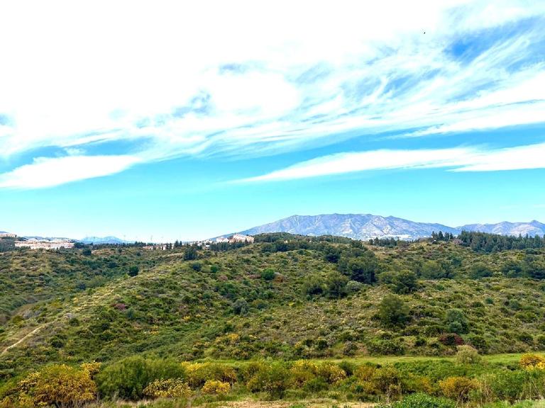 Property thumbnail 8