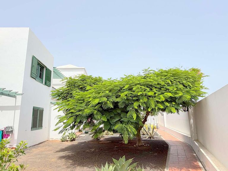 Property thumbnail 29