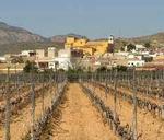 Property thumbnail 9