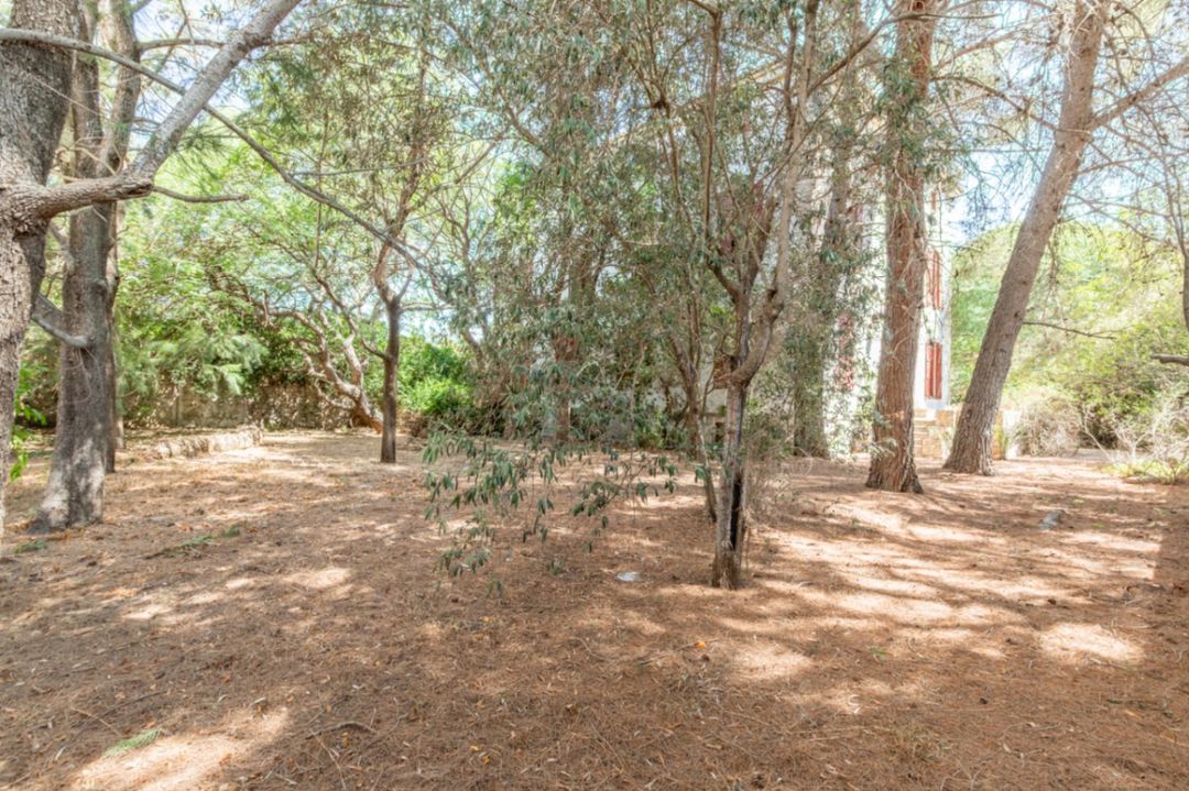Property image 36