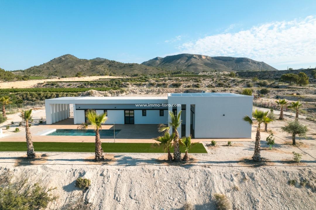 3 bedroom House / Villa in Pinoso, Costa Blanca - Property TC56130