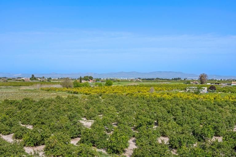 Property thumbnail 24