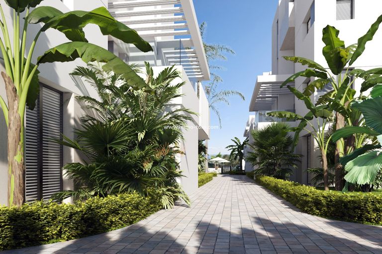 Property thumbnail 16