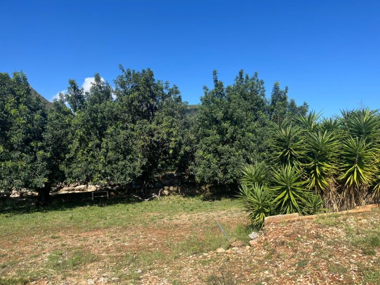 Property thumbnail 6