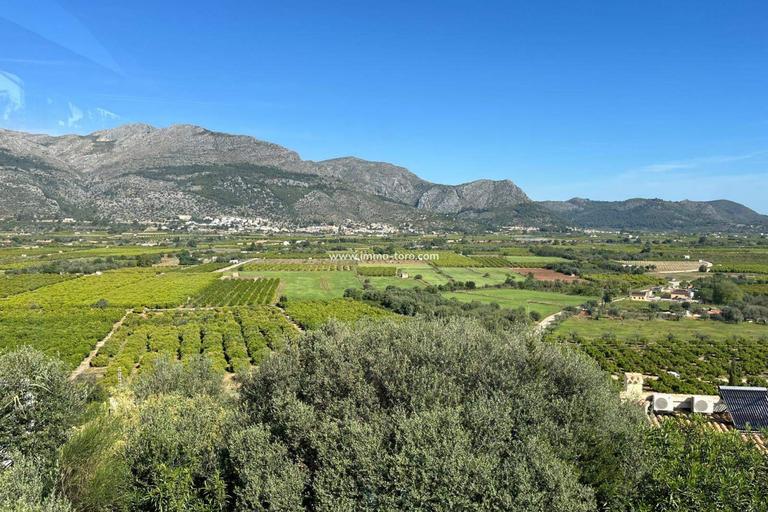 Property thumbnail 25