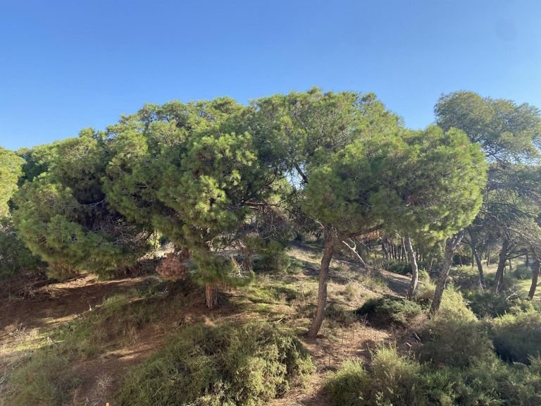Property thumbnail 1