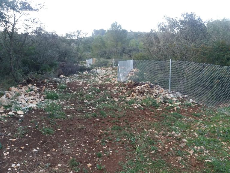 Property thumbnail 3