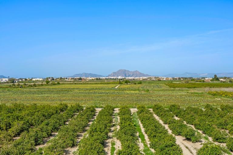 Property thumbnail 28