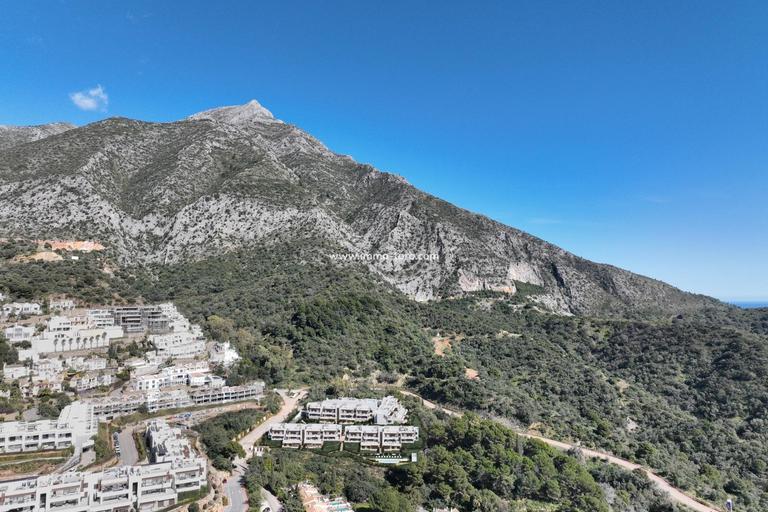 Property thumbnail 17