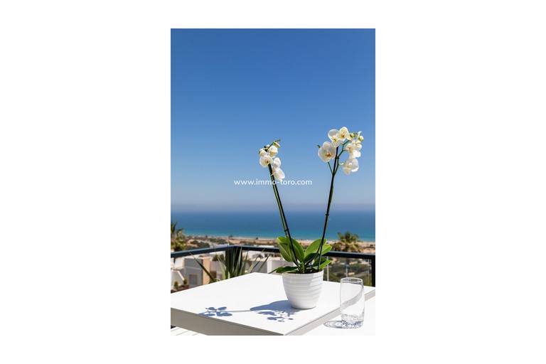 Property thumbnail 20