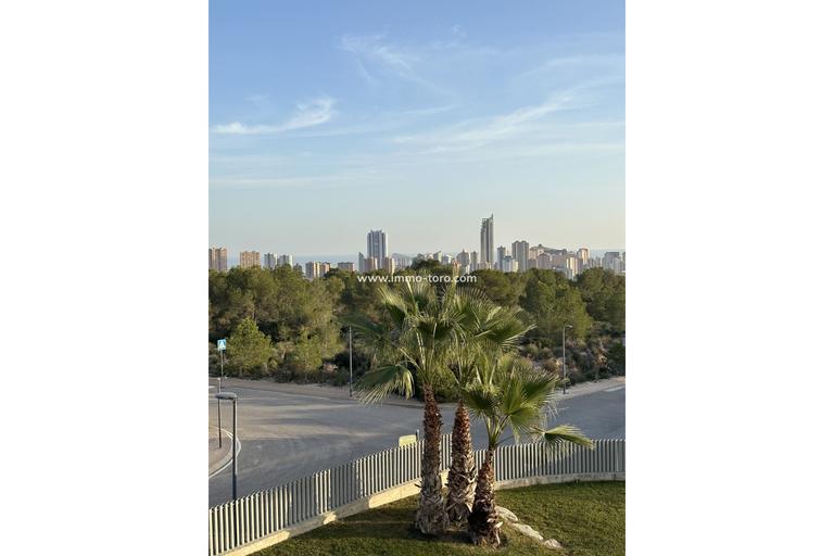 Property thumbnail 43