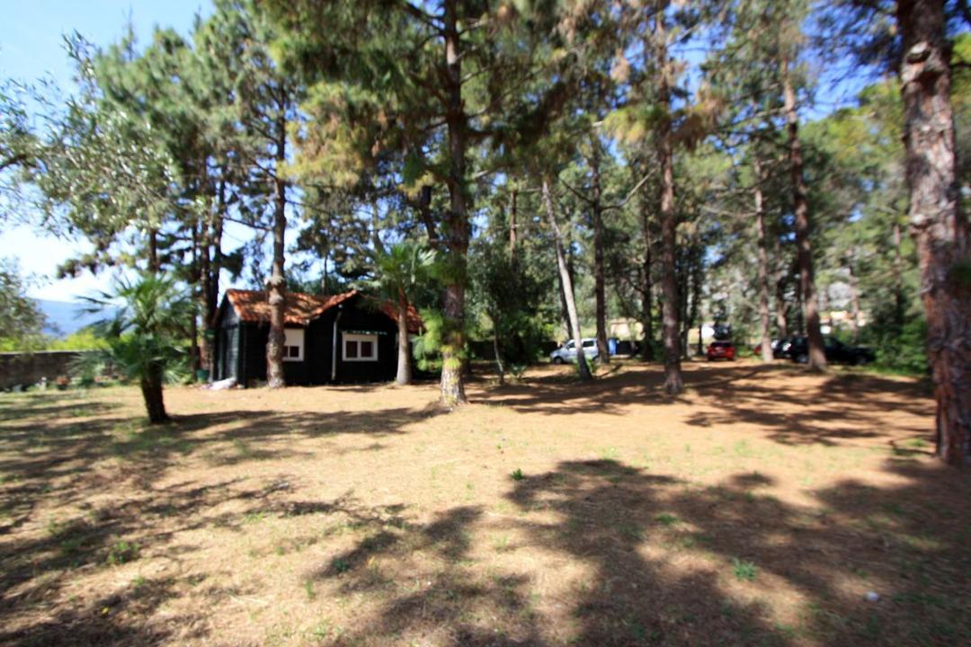 Property image 47