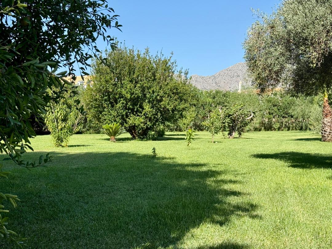 Property image 40