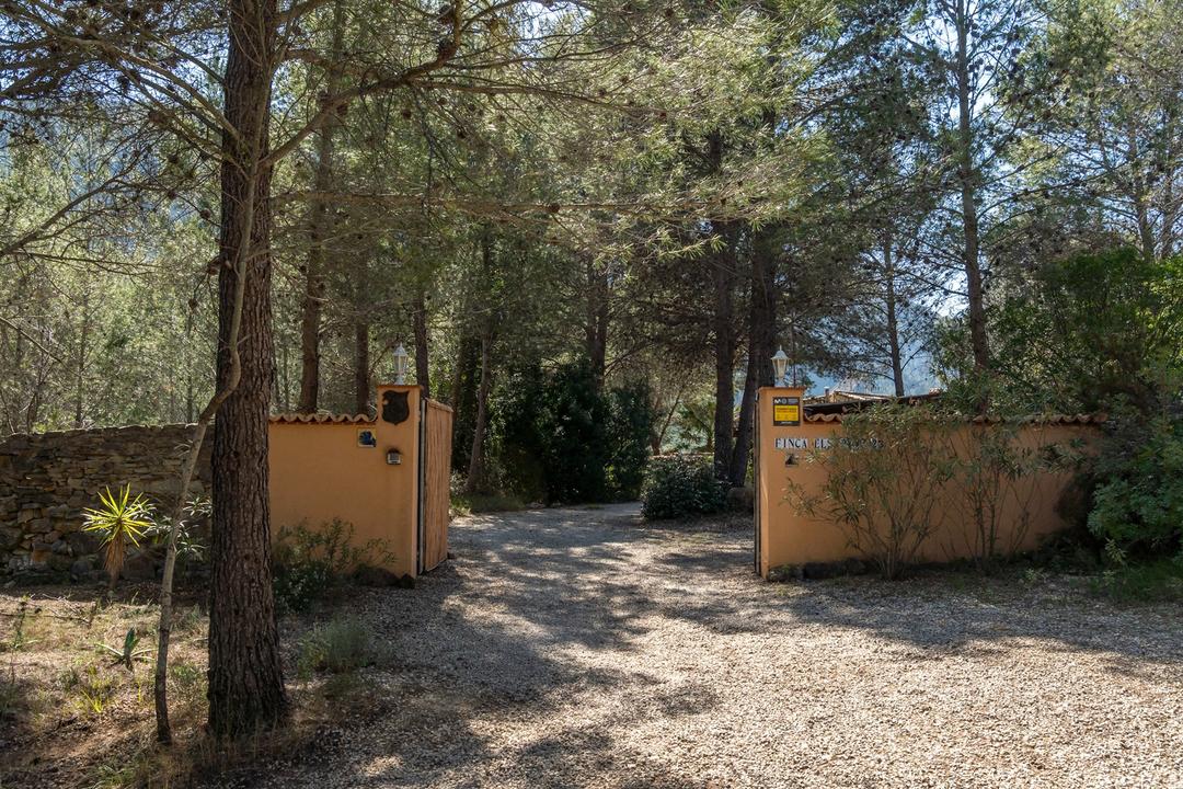 Property image 43