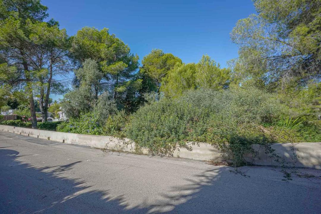 0 bedroom Land and plots in Costa Blanca, Costa Blanca - Property VC381939