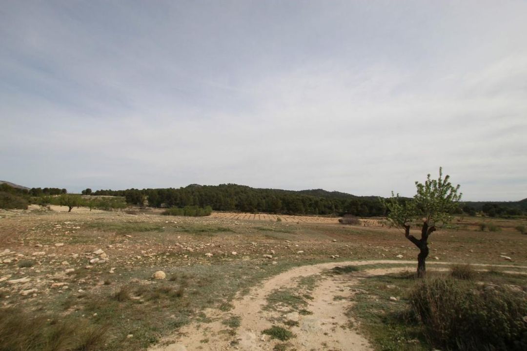 Property image 19