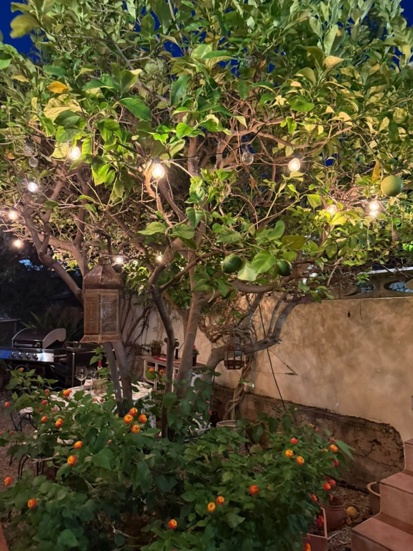 Property image 32