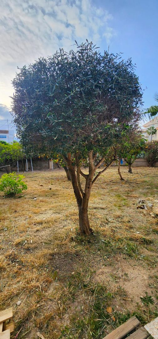 Property image 24
