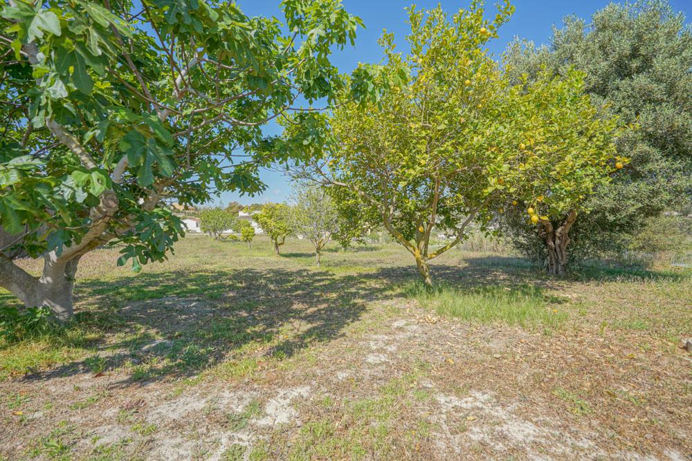 Property image 41