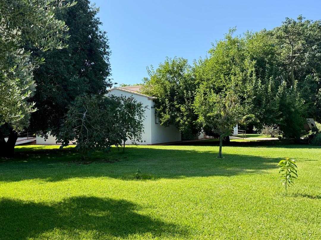 Property image 42