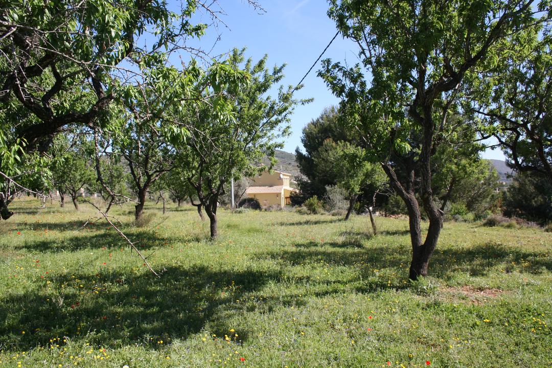 Property image 26