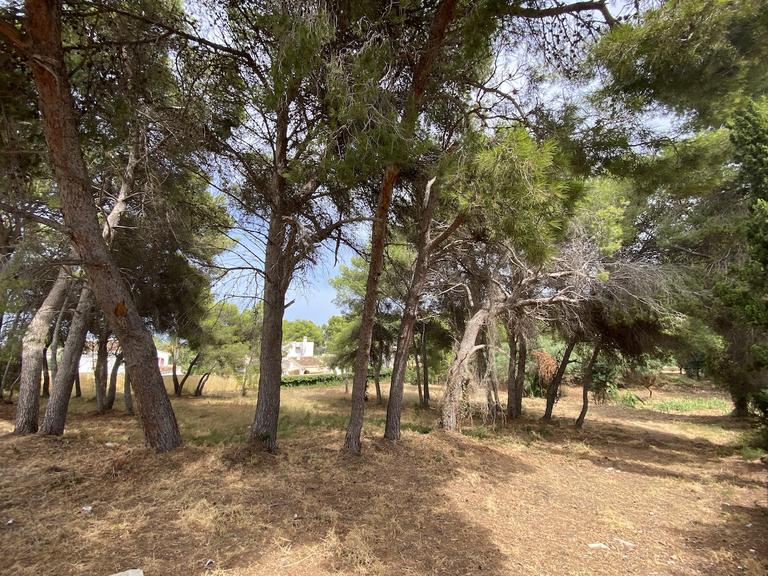 Property thumbnail 6