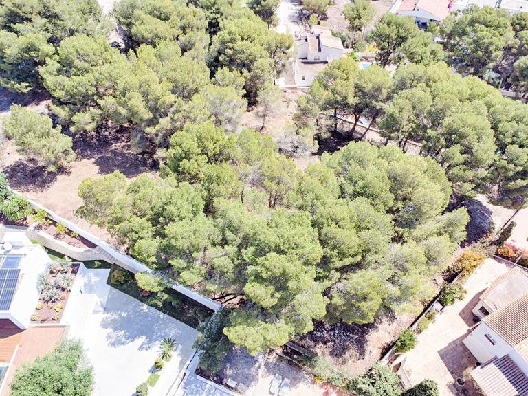 Property thumbnail 9
