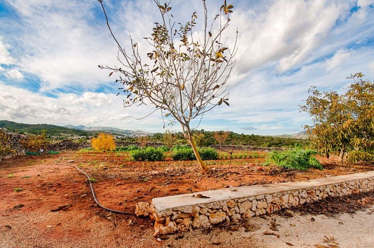 4 bedroom Finca / Rural house in Inland, Costa Blanca - Property VC37943