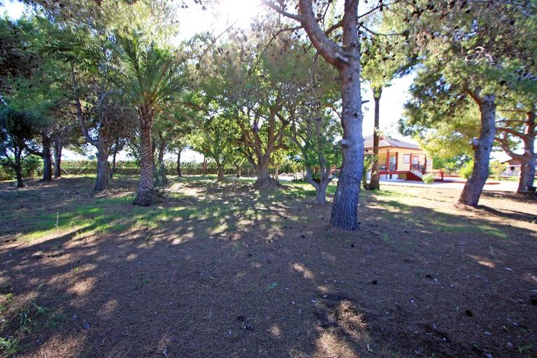 Property thumbnail 27