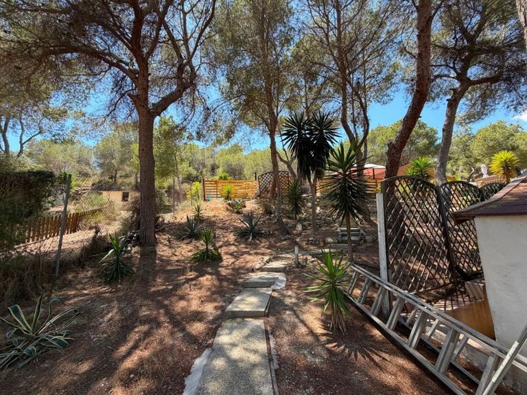 Property thumbnail 19