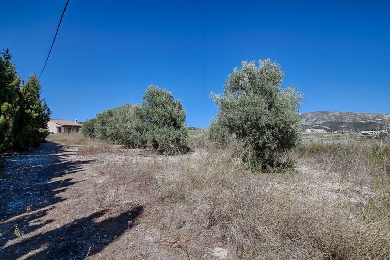 Property thumbnail 9